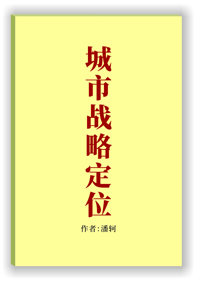城市战略定位.jpg