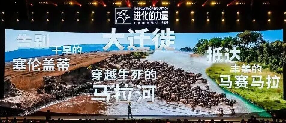 1763347527675809.jpg 01.jpg