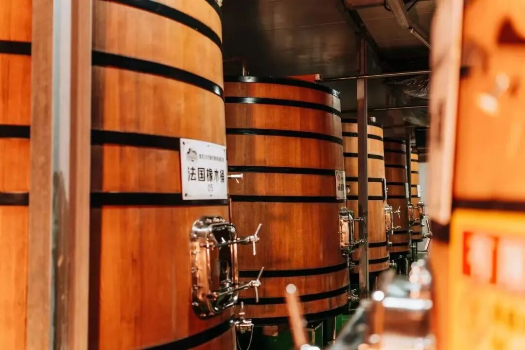 1767582819696496.jpg 05.jpg