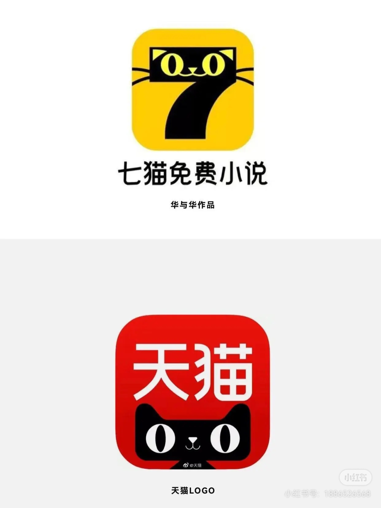 1773651439746273.jpg 3.jpg